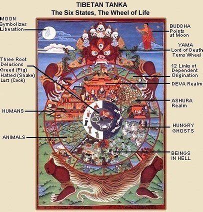 a buddhist belief in rebirth figgerits|The Place of Rebirth in Buddhism — Study Buddhism.